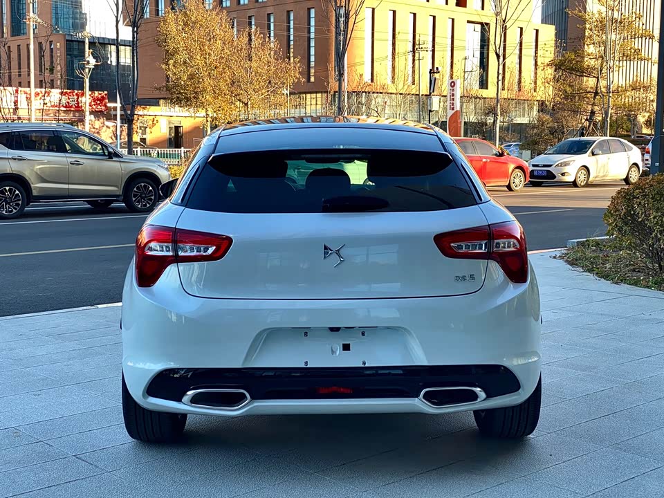 DS 5