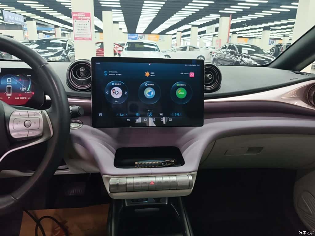 BYD Dolphin, 2023 13
