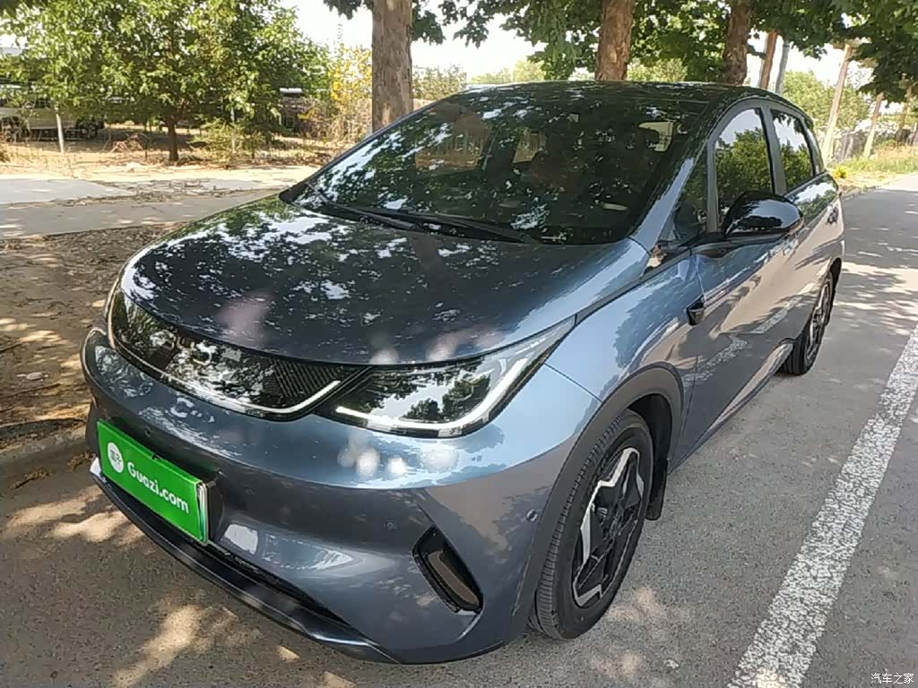 BYD Dolphin, 2025 2