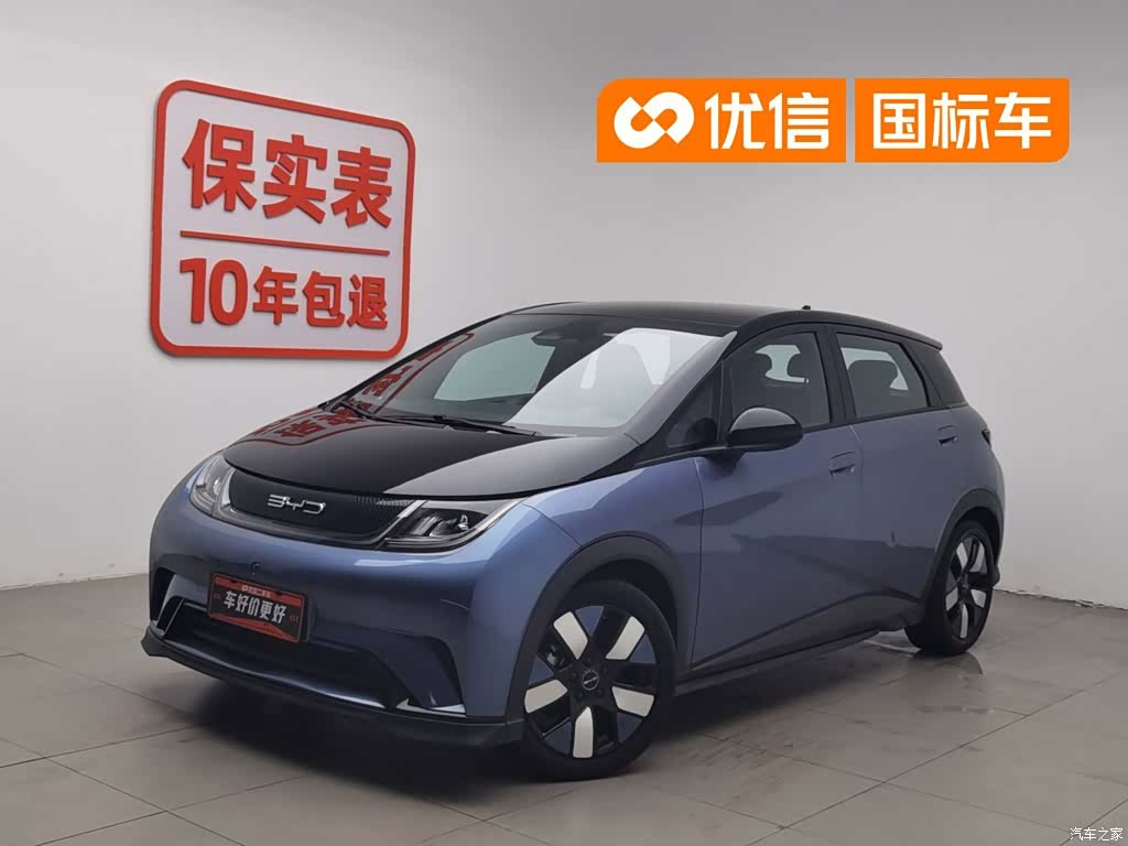 BYD Dolphin, 2023 1