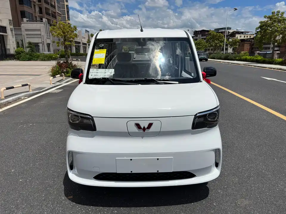 Wuling Wuling Zhiguang