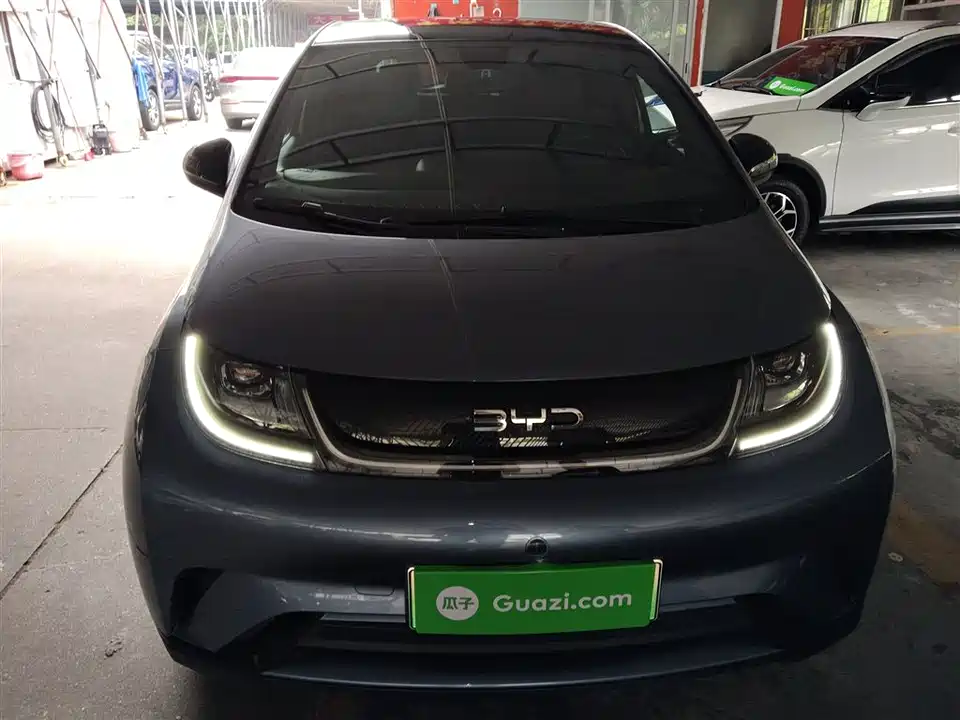 BYD dolphin