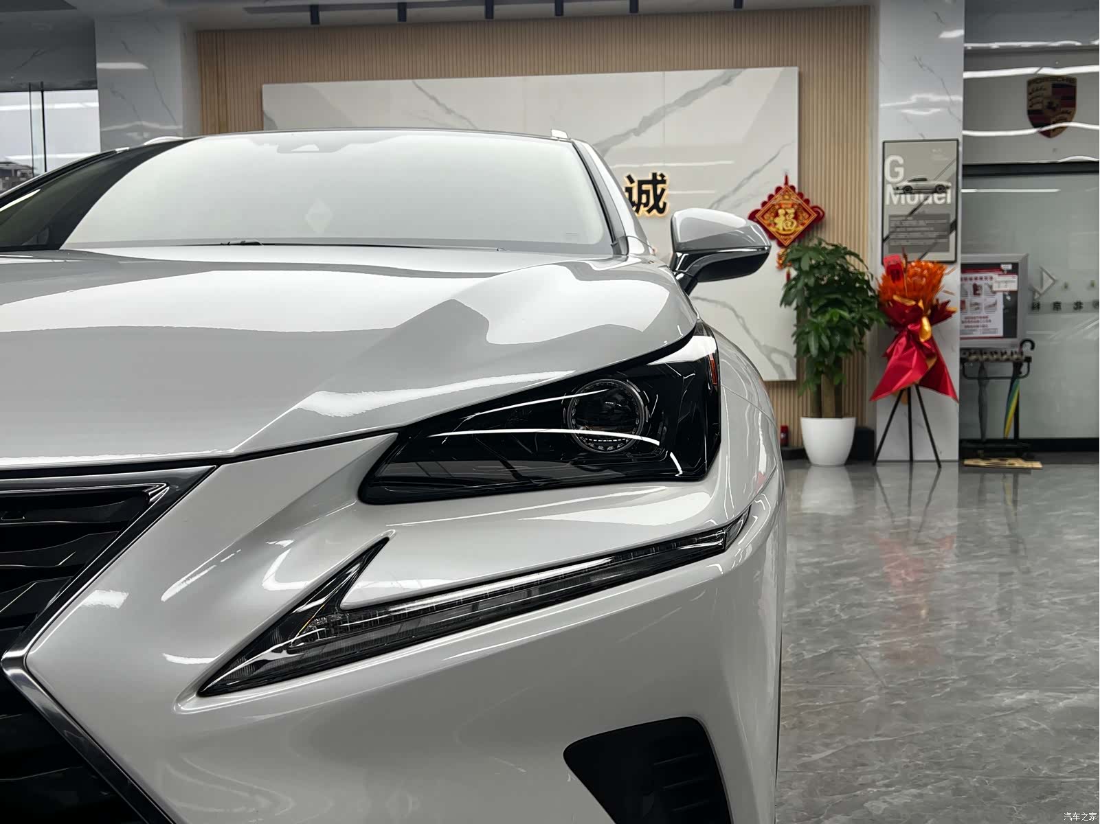 Lexus NX, 2021 9