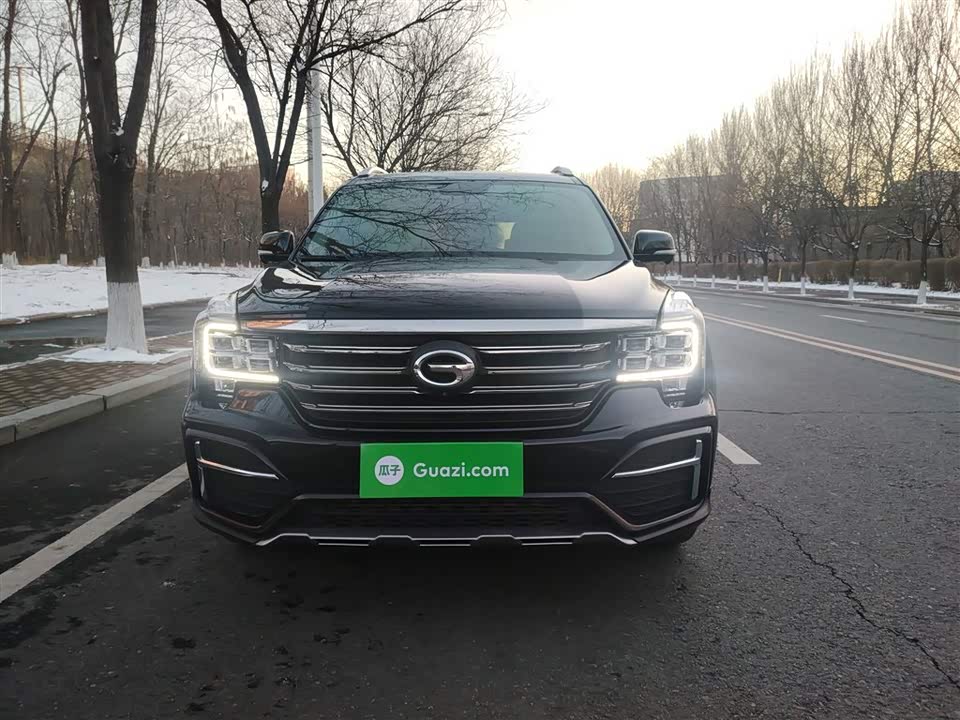 Trumpchi Trumpchi GS8