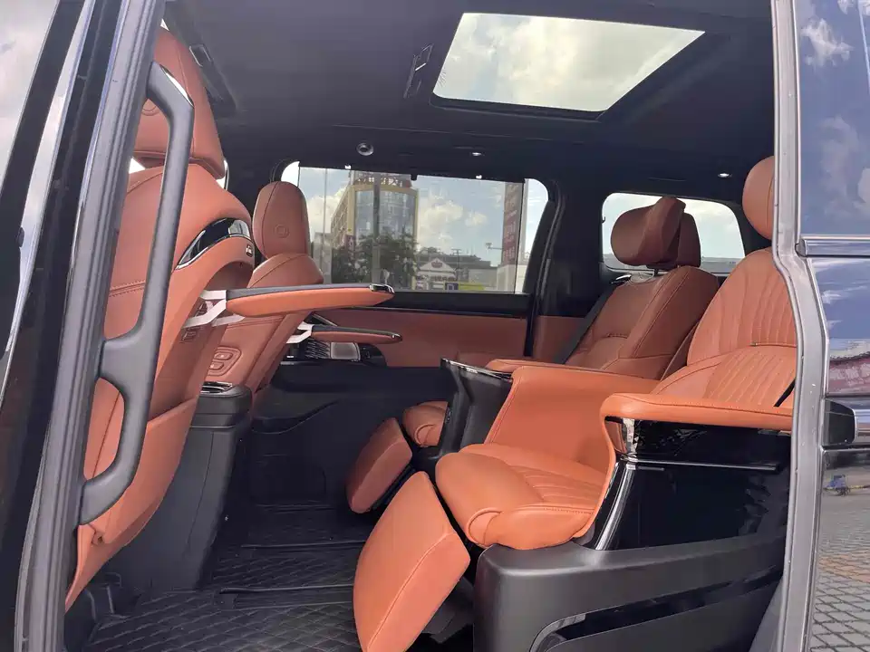 Trumpchi Trumpchi E9