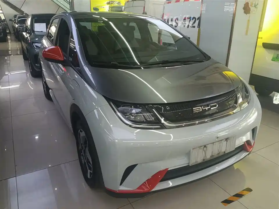 BYD dolphin