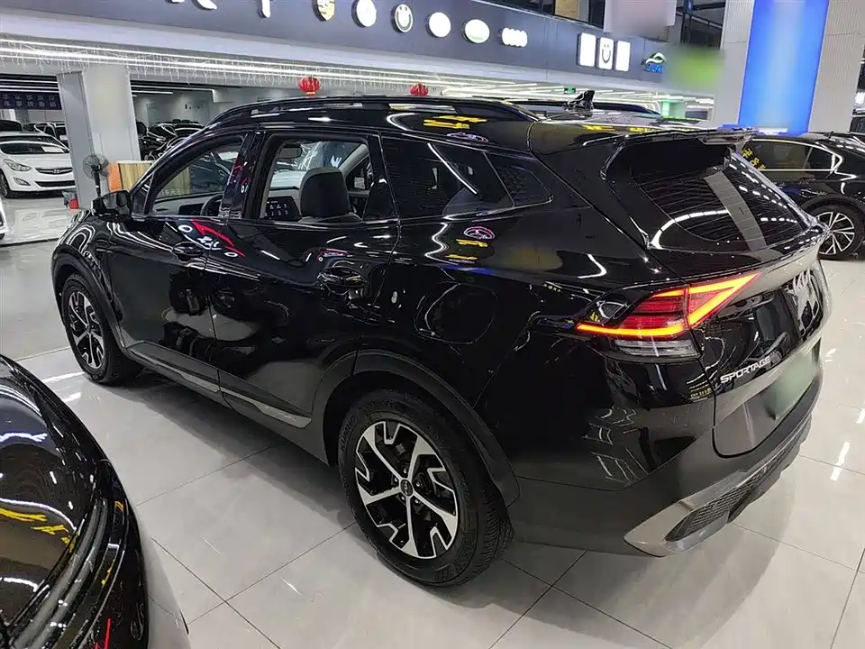 Kia Lion Platinum expands the world