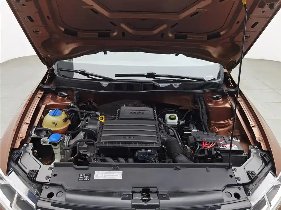 Volkswagen C-TREK Wei Collar