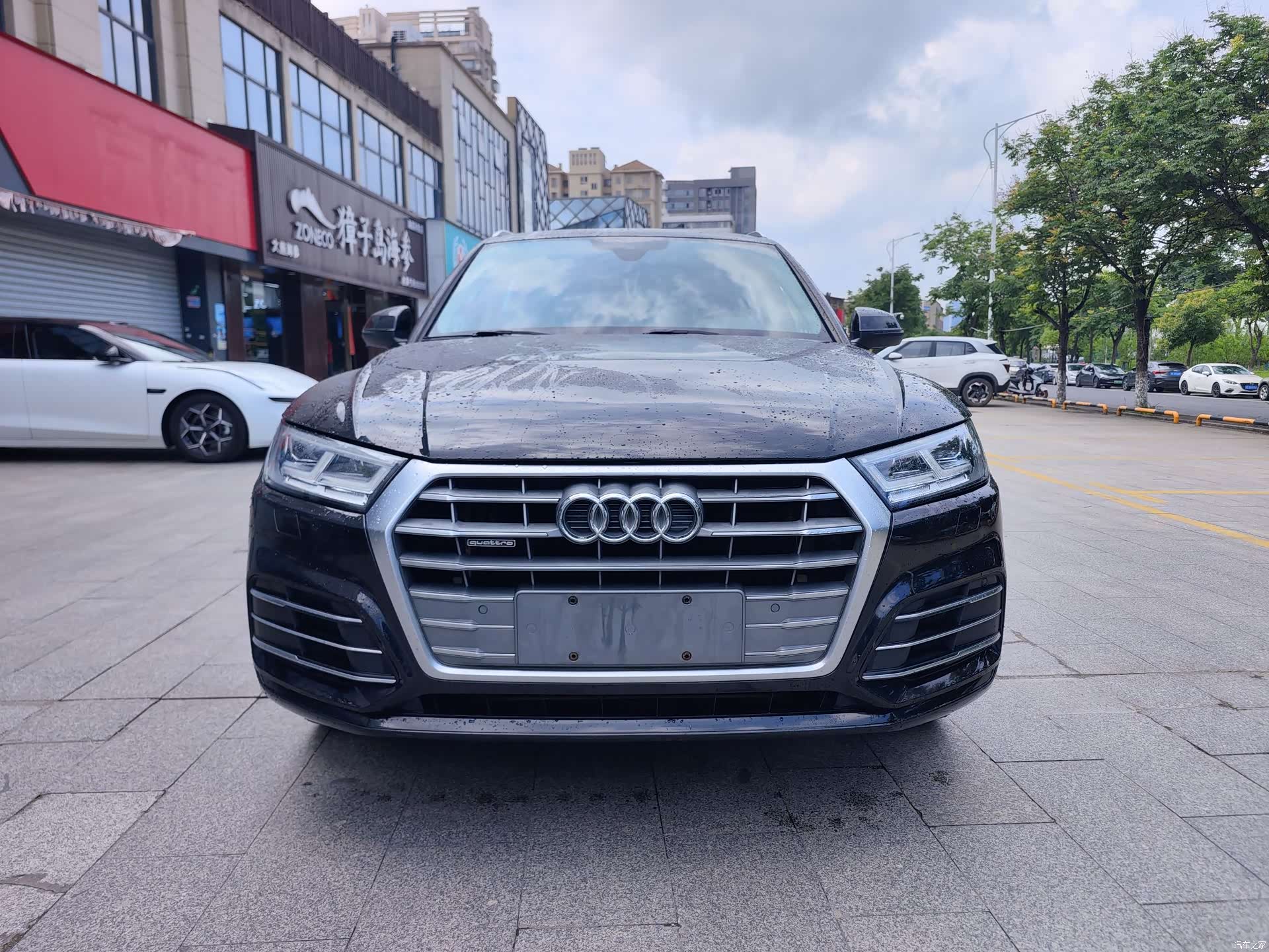 Audi Q5L, 2019 3