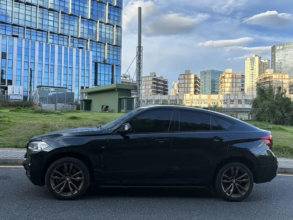 BMW X6