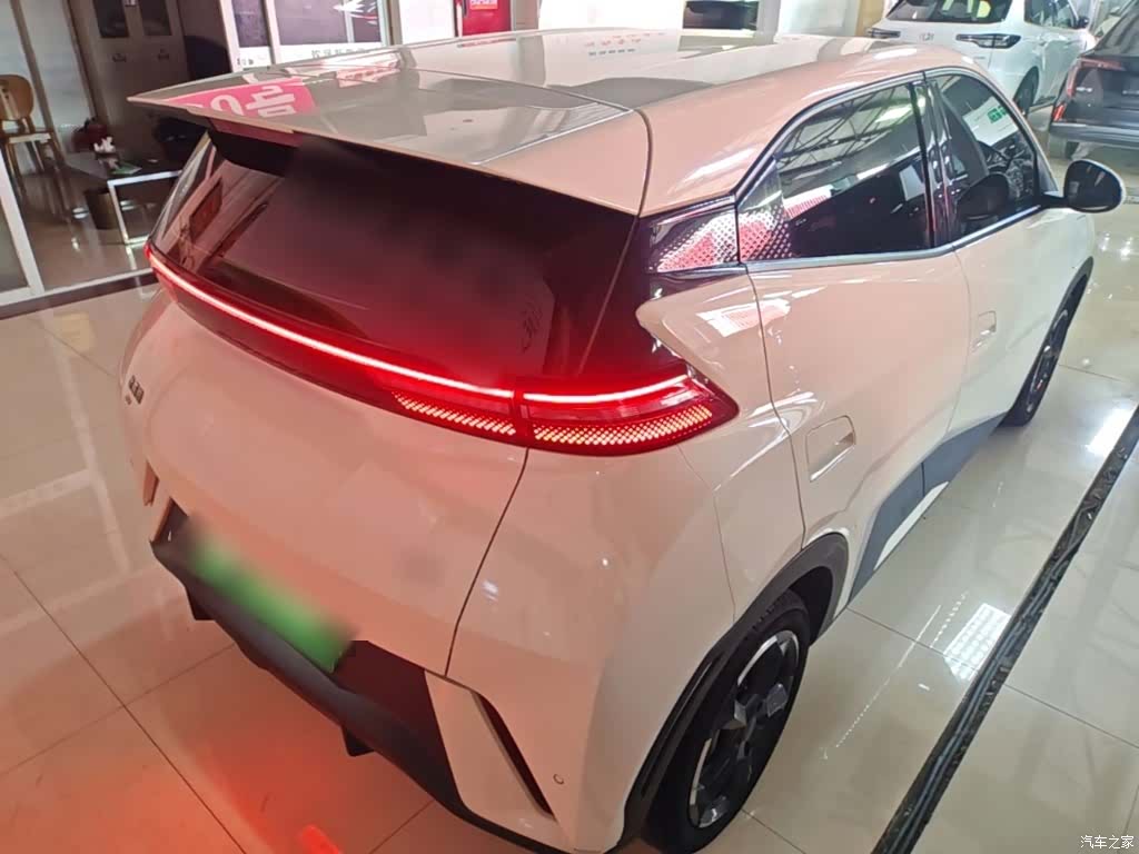 BYD Seagull, 2024 7