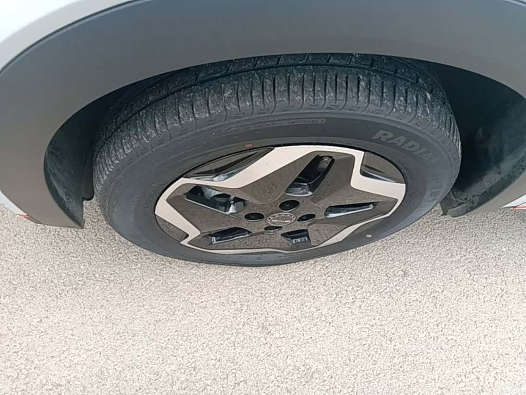 BYD Dolphin, 2022 23