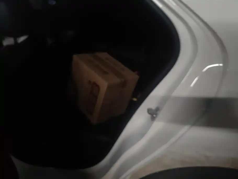 Trumpchi Shadow Leopard