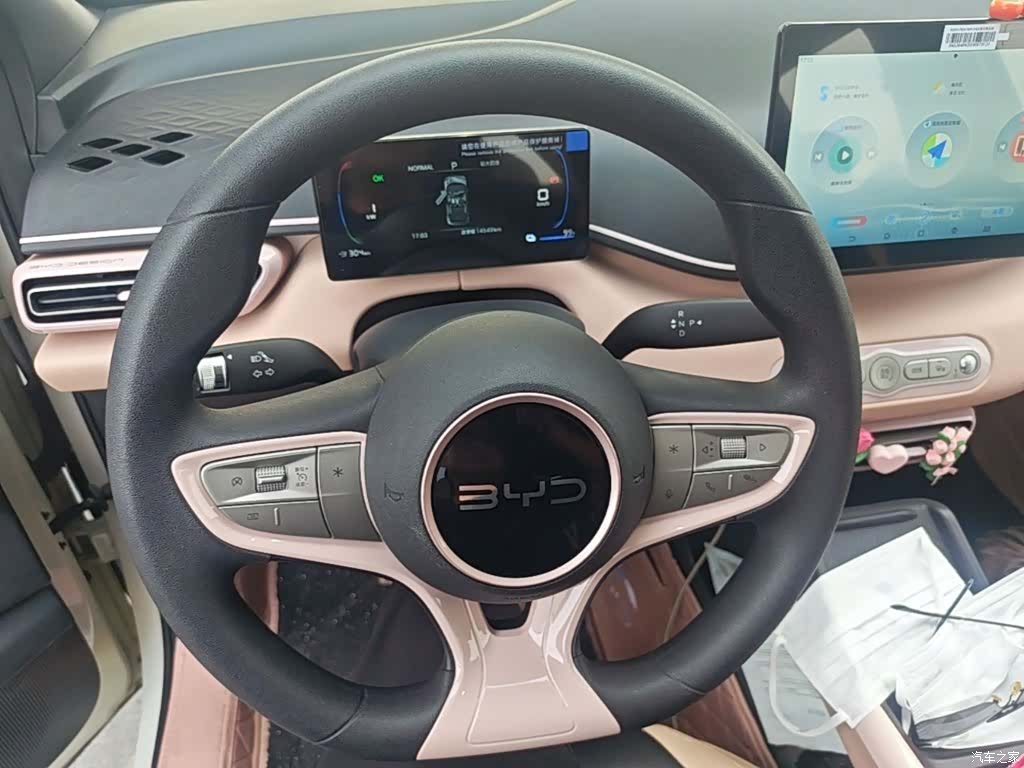 BYD Seagull, 2025 11