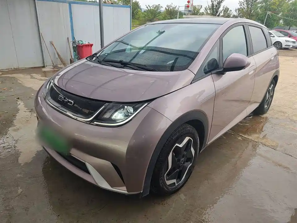 BYD dolphin