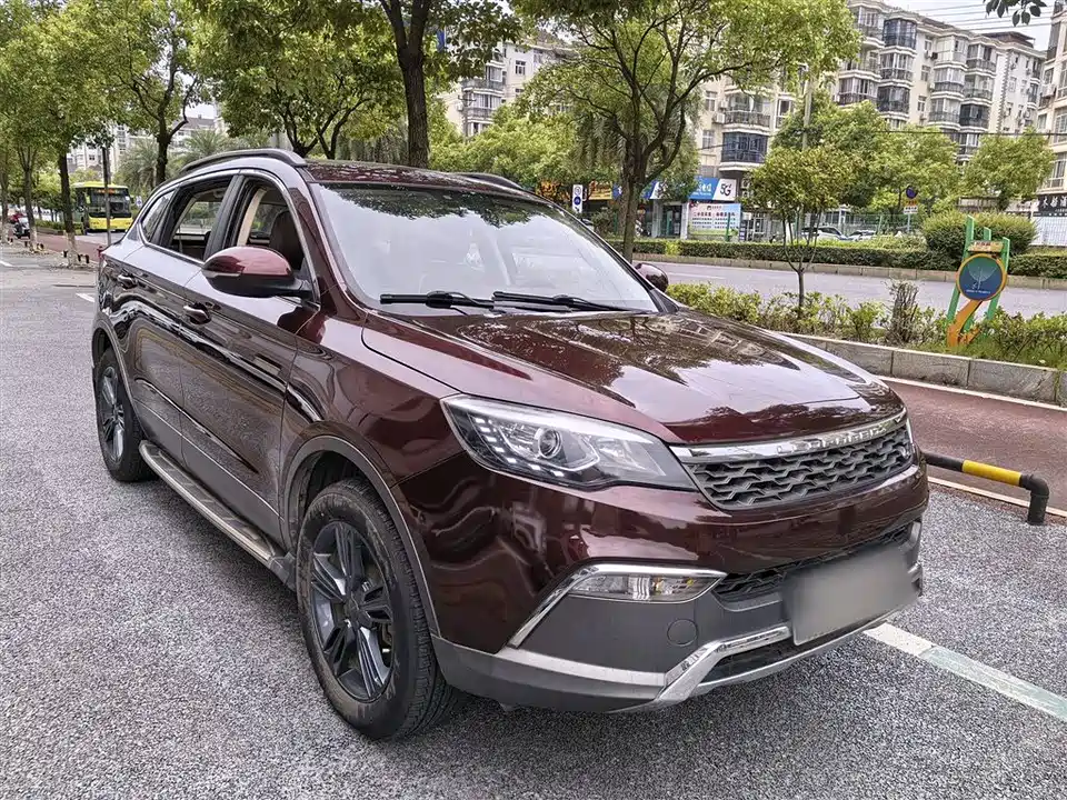 Leopaard Cheetah CS10