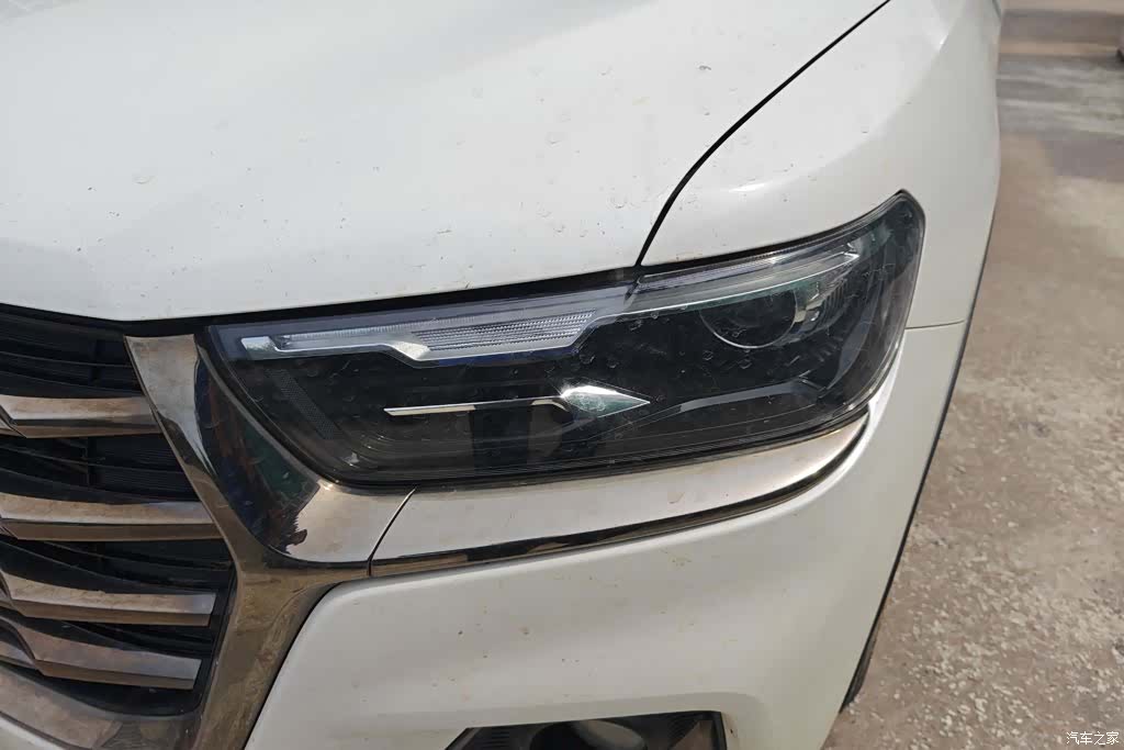 Haval H6, 2021 все фото