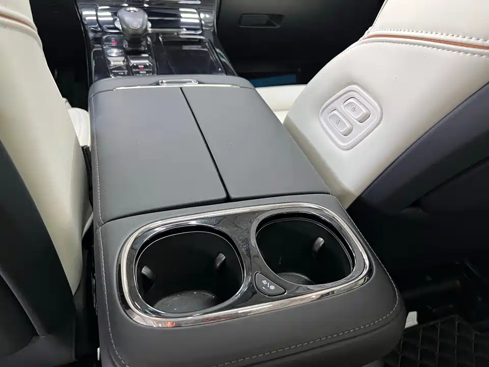 Trumpchi Trumpchi E9