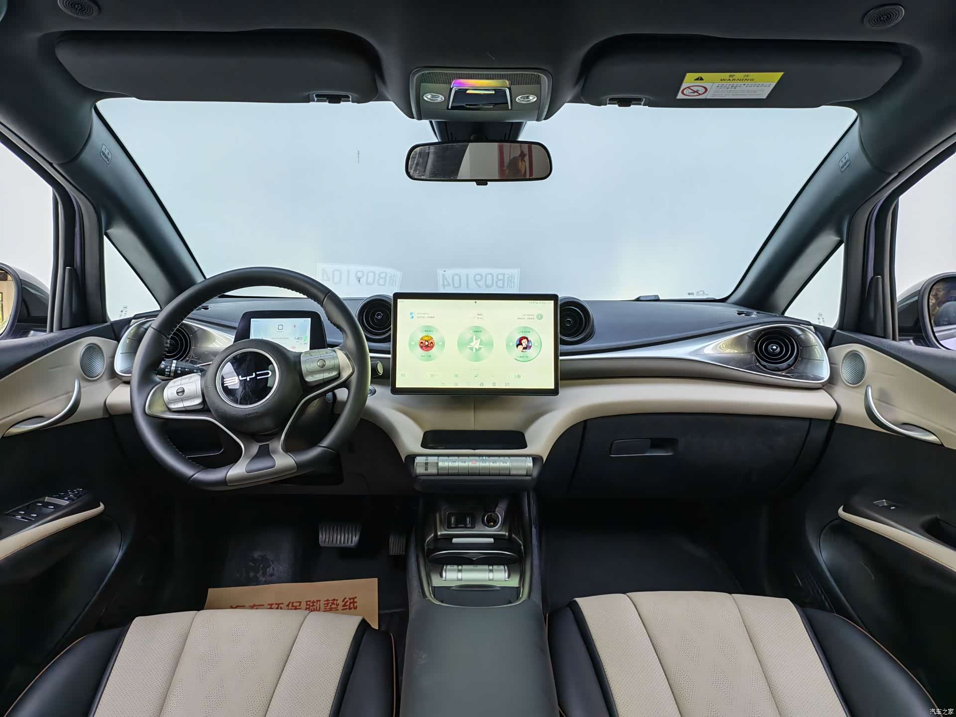 BYD Dolphin, 2024 12