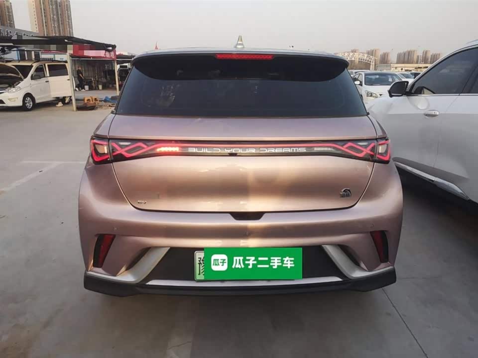 BYD dolphin