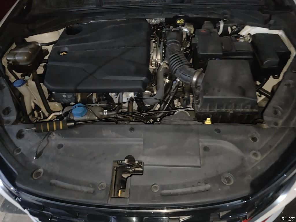 Changan Eado, 2025 11