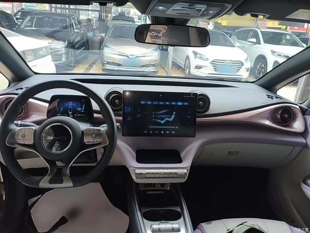 BYD Dolphin, 2023 10