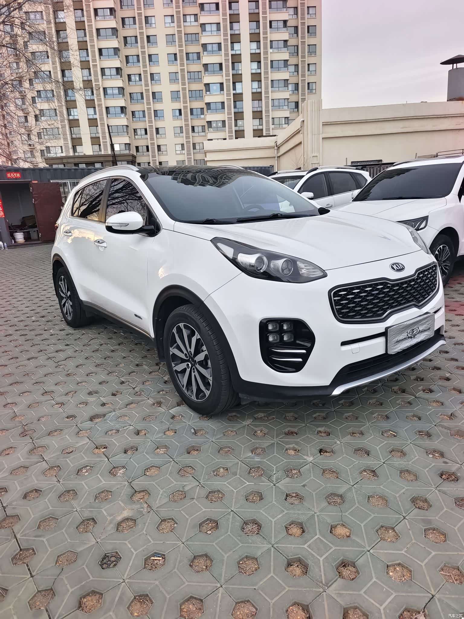 Kia KX5, 2016 3
