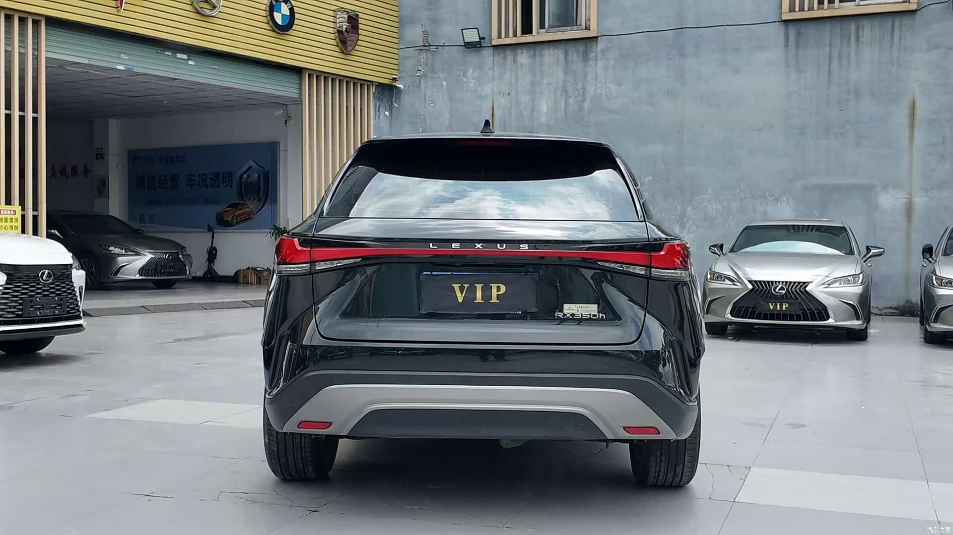 Lexus RX, 2024 10