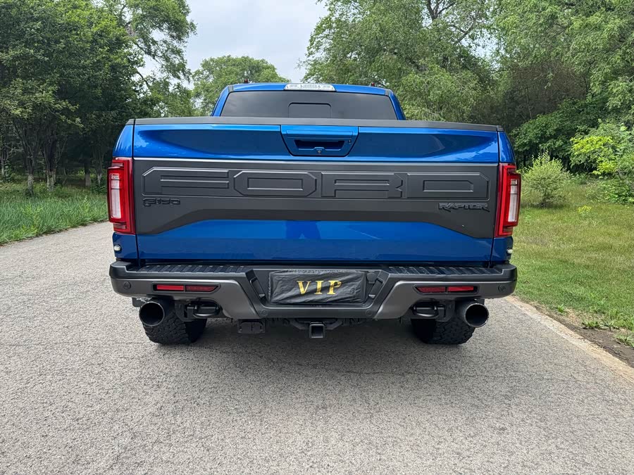 Ford F-150 Raptor 2017, фото 5