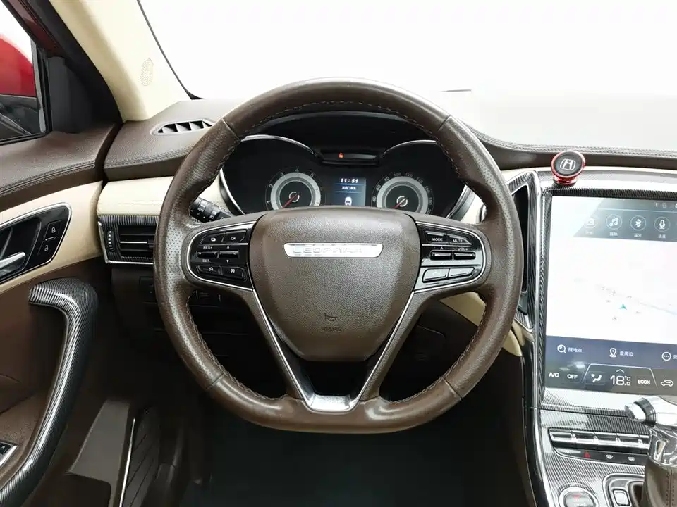 Leopaard Cheetah CS9