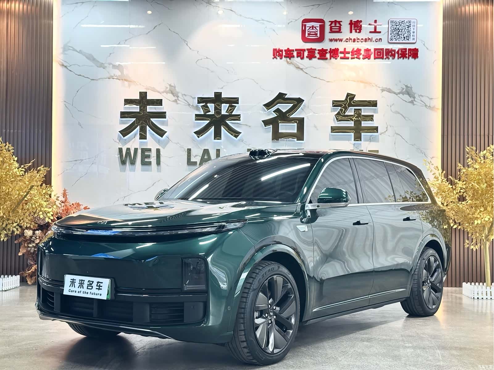 Li Auto L9, 2023 1
