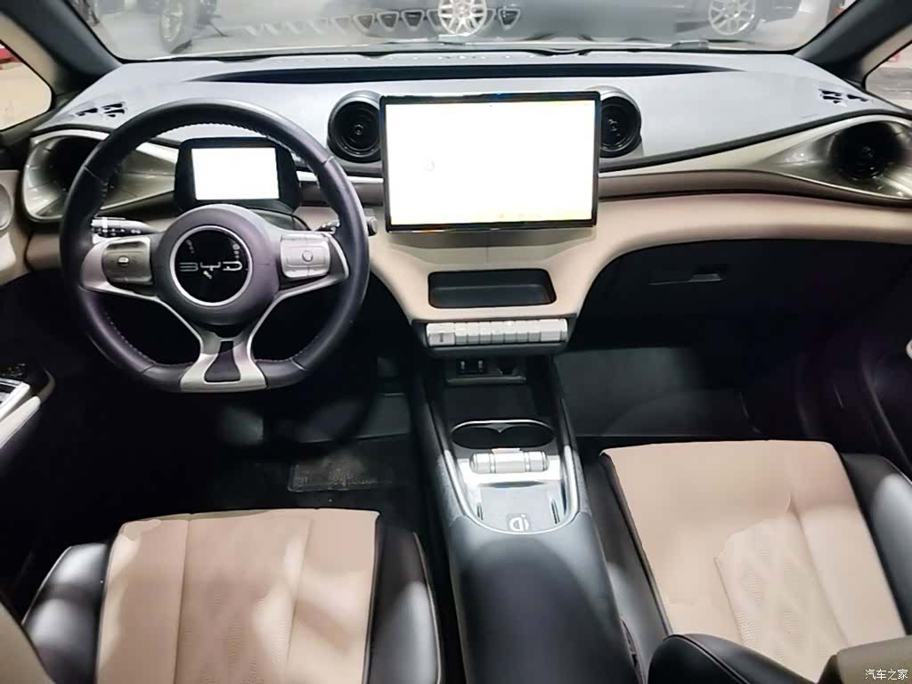 BYD Dolphin, 2023 10