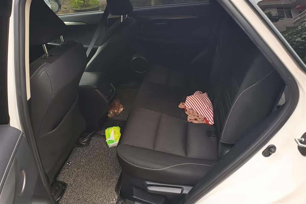 Lexus NX, 2016 11