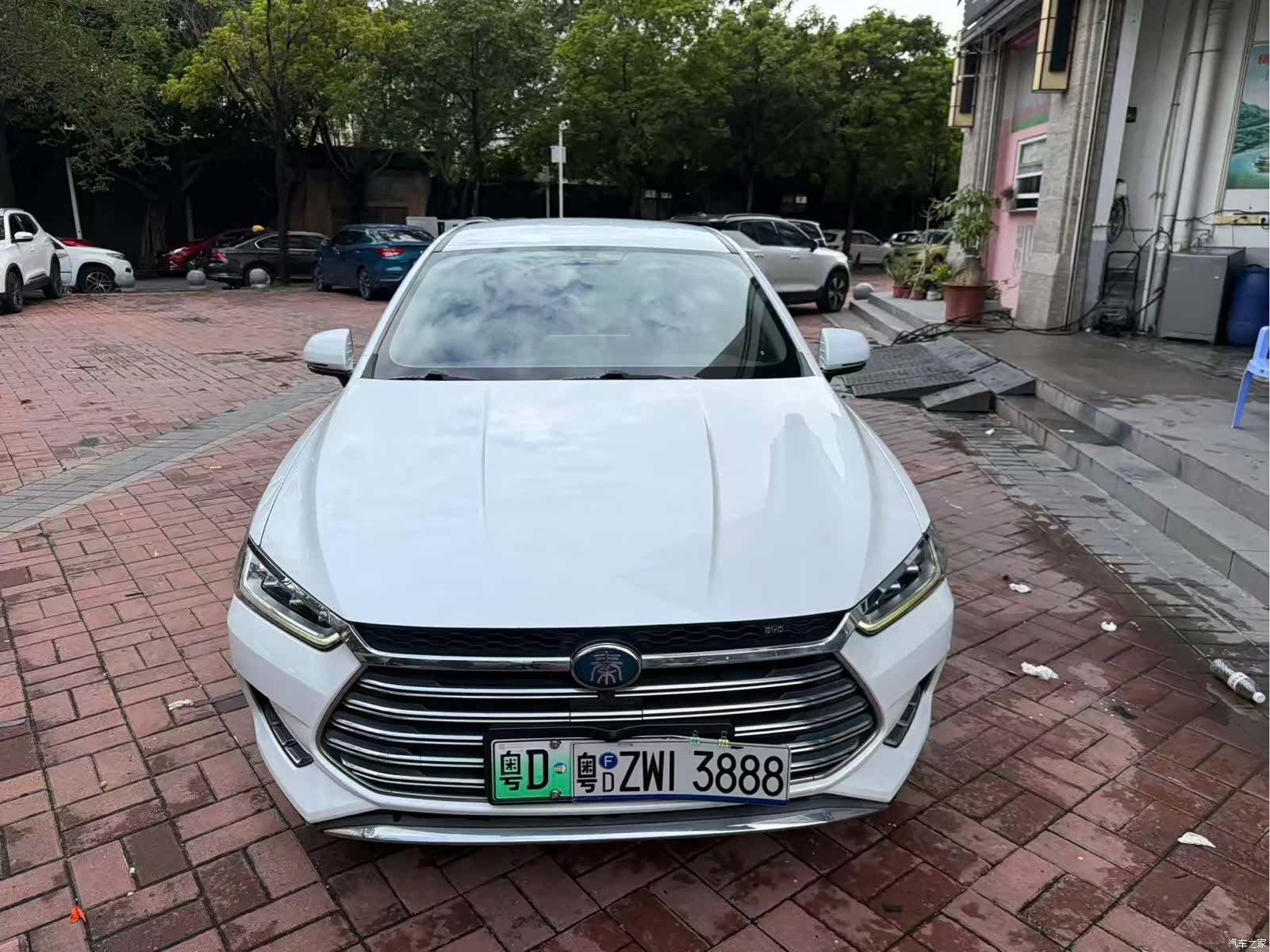 BYD Qin, 2019 2