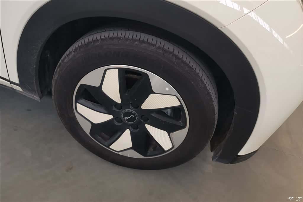 BYD Dolphin, 2024 6