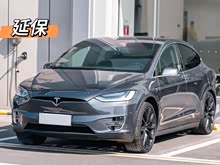 Model X 2020�� ������������