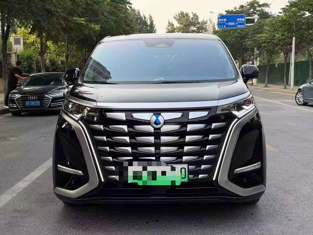 Denza D9