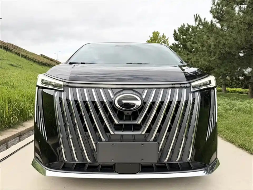 Trumpchi Trumpchi M8