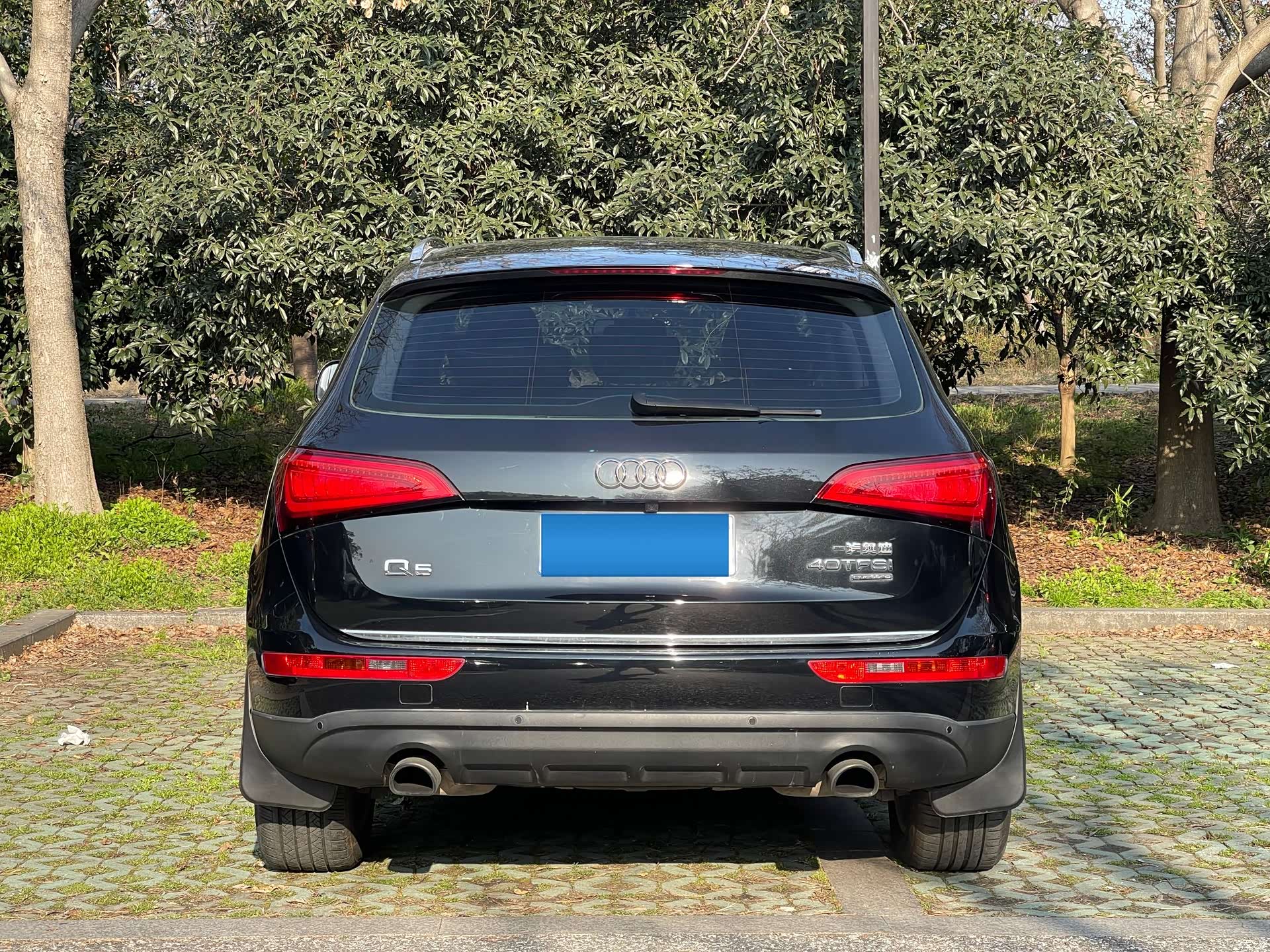 Audi Q5, 2017 13