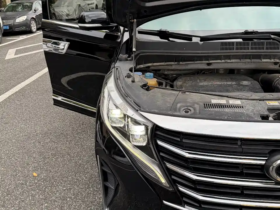 Trumpchi Trumpchi M8