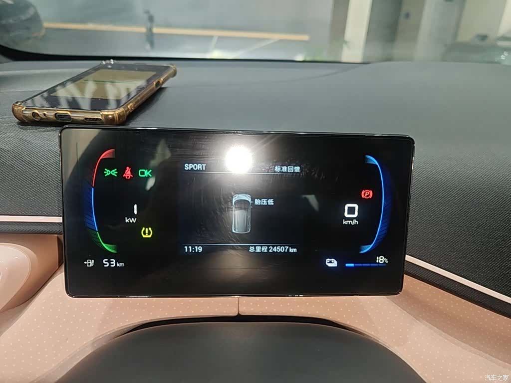 BYD Seagull, 2024 12