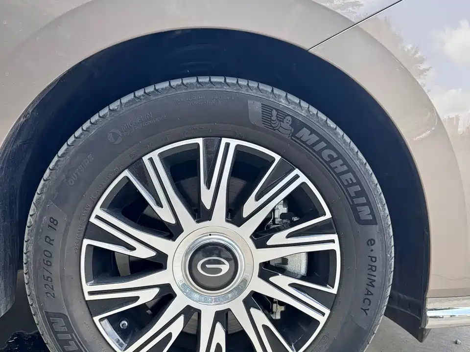 Trumpchi Trumpchi E9