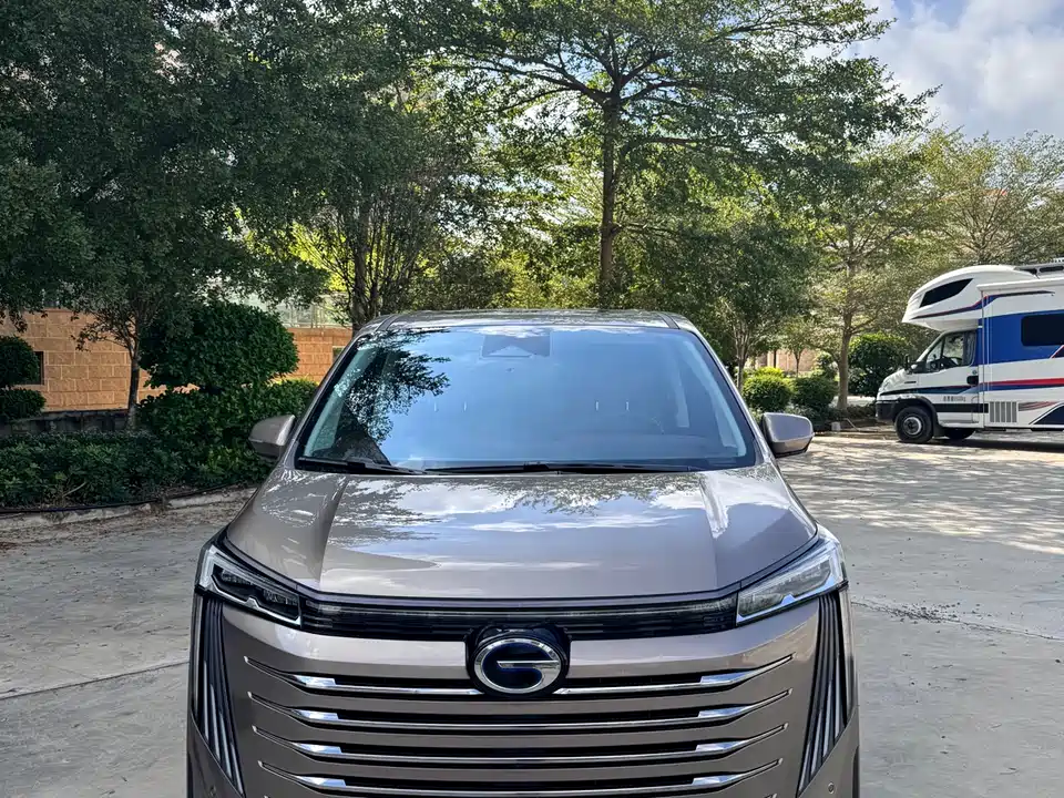 Trumpchi Trumpchi E9