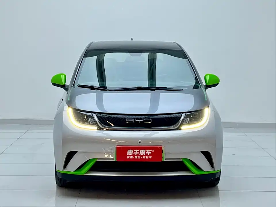 BYD dolphin
