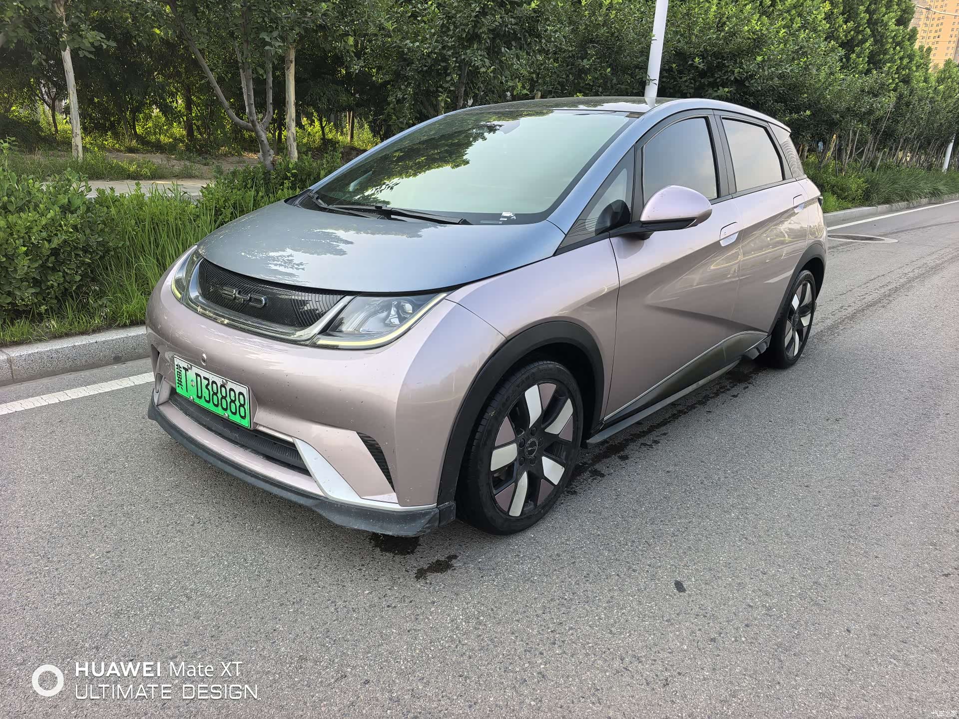 BYD Dolphin, 2022 1
