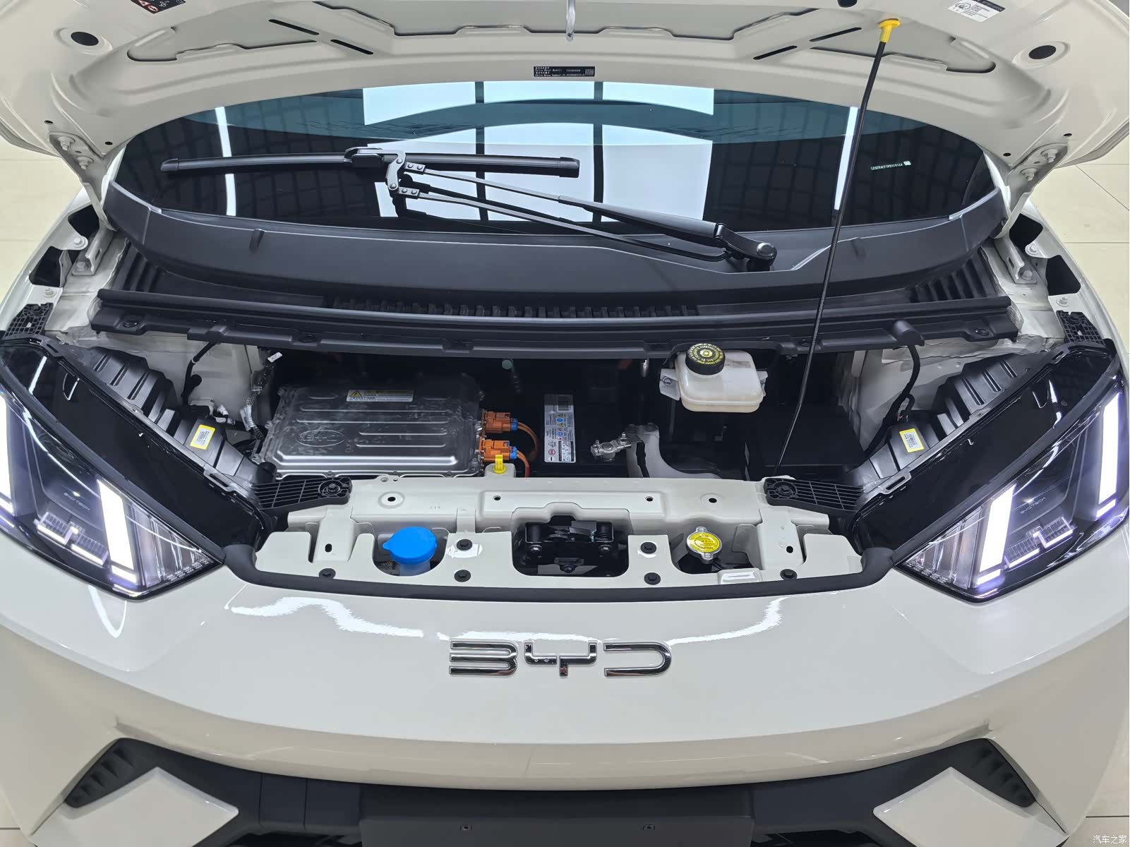 BYD Seagull, 2023 21