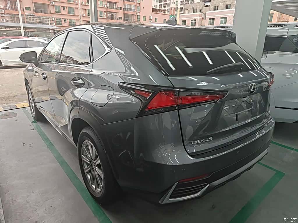 Lexus NX, 2019 все фото