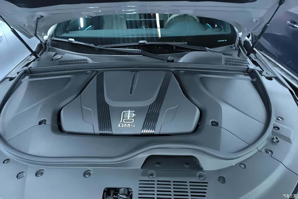 BYD Tang, 2026 10