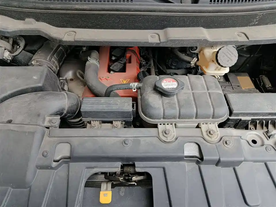 Jinbei Golden Sea Lion Classic