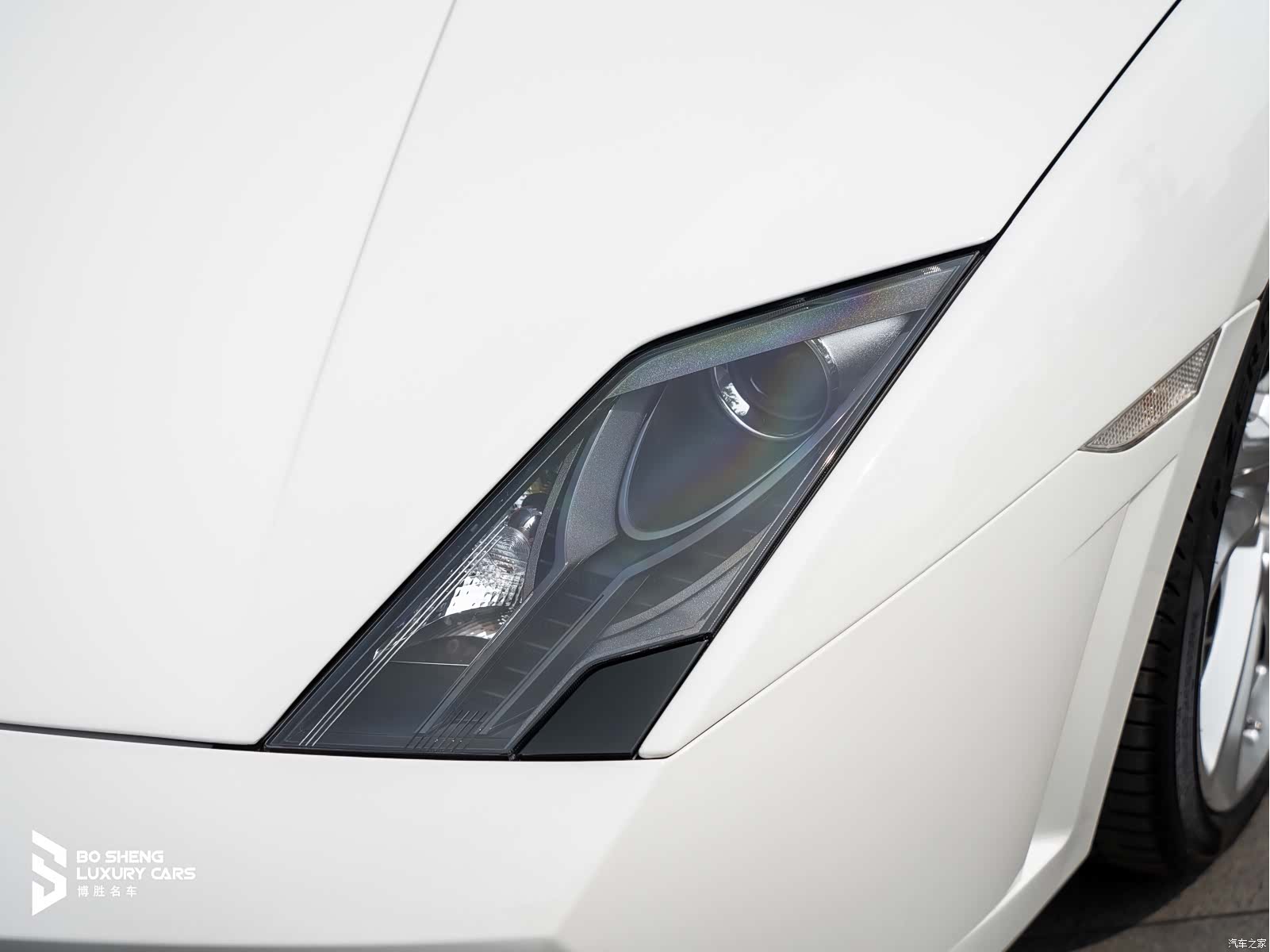 Gallardo LP, 2014 15
